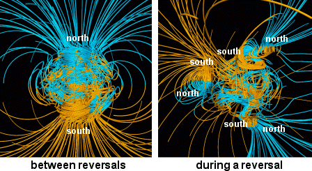 Simulation of geomagnetic reversal
