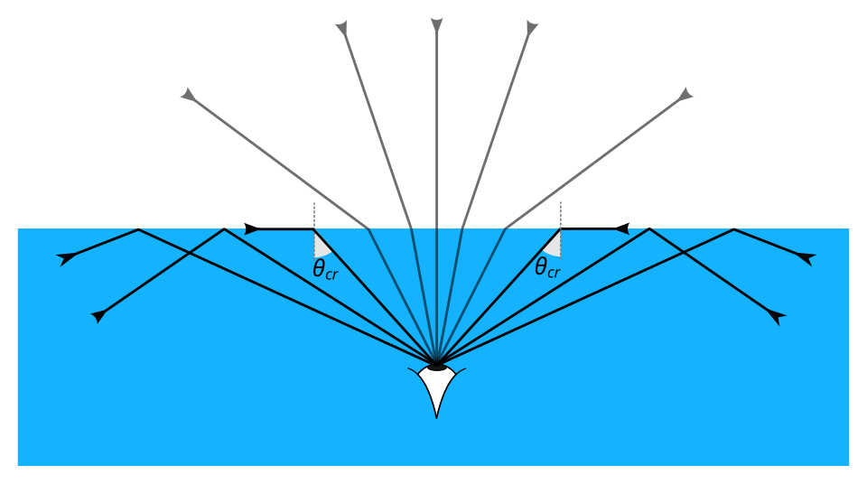 Total Internal Refraction diver
